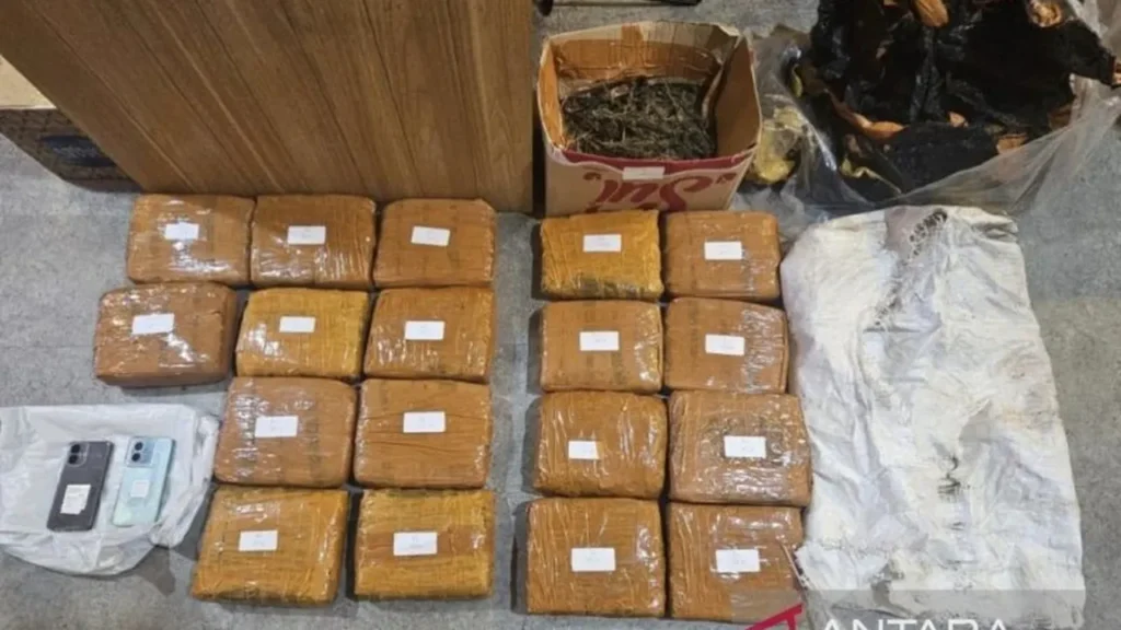 Polda Metro Jaya Berhasil Gagalkan Peredaran Ganja 18 Kg di Jakarta Barat